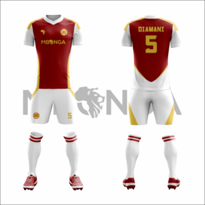 Elite Soccer Kit (Jersey & Shorts)